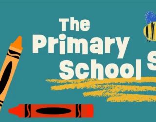 Primary school survey.