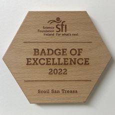 Badge of Excellence