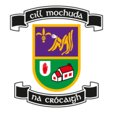 Kilmacud Crokes Crankies